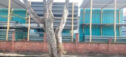 Tuas Road (D22), Warehouse #587553901